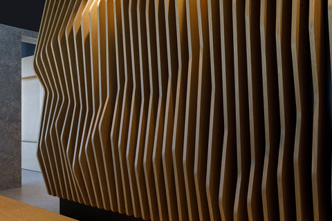 The Modern Architect: Balancing Artistry and Functionality